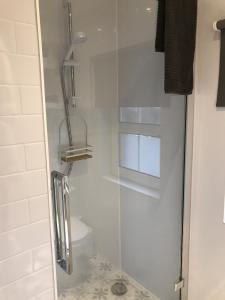 een douche met een glazen deur in de badkamer bij The Glastonbury Townhouse B&B in Glastonbury