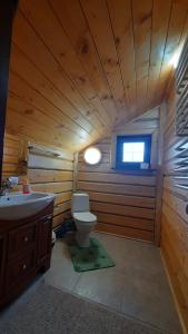 a bathroom with a toilet and a sink in a log cabin at Карпатський затишок in Oryavchyk