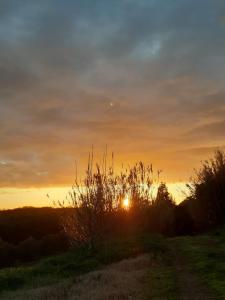 een zonsondergang in een veld met de zon in de lucht bij Agriturismo Piccolo Paradiso in Riparbella