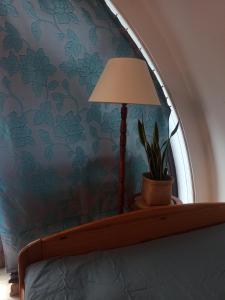 a lamp and a plant on a shelf in a bedroom at Hotel-hostel Saska in Warsaw