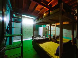 Zimmer mit 2 Etagenbetten und einer Leiter in der Unterkunft Vibe Hostel in Dharamshala