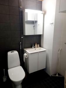 a bathroom with a white toilet and a sink at Villa Kaisla in Raahe