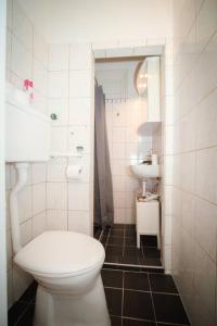 een badkamer met een toilet en een wastafel bij Cozy City Apartments in center K19 in Wenen