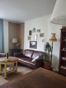 a living room with a brown leather couch and a table at Logement Hartsuiker in Hoogeveen