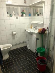 ein Badezimmer mit einem Waschbecken, einem WC und einem Spiegel in der Unterkunft bnb mary in Björnlunda