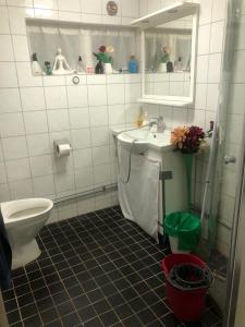 a bathroom with a sink and a toilet and a mirror at bnb mary in Björnlunda +14 photos