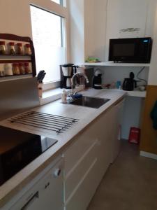 een keuken met een wastafel en een aanrecht bij Logement Hartsuiker in Hoogeveen