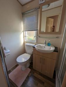 a bathroom with a toilet and a sink and a mirror at The Ashcroft in Dunoon