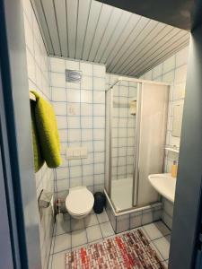 La petite salle de bains est pourvue de toilettes et d'un lavabo. dans l'établissement Guesthouse-Mother, à Sankt Kanzian