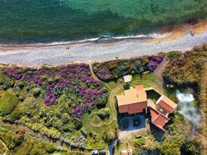 - une vue aérienne sur une maison à côté de la plage dans l'établissement Manderley-Case sul mare, à Santa Caterina