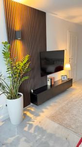 a living room with a television and a potted plant at RelaxDays-Apartments in Gütersloh