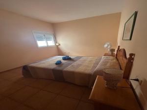 1 dormitorio con 1 cama grande y ventana en Apartamento vacacional Fuerteventura 1A, en Cotillo