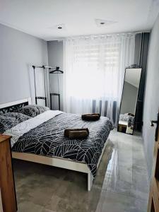 1 dormitorio con cama y ventana grande en Apartament Kościuszko, en Głogówek