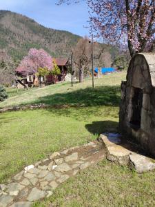 Garden sa labas ng Yeşil Vadi Çiftliği