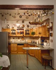 Köök või kööginurk majutusasutuses Vila Historica Karlovy Vary