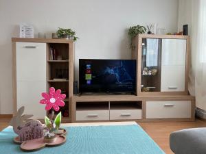 uma sala de estar com televisão e um centro de entretenimento em Gemütlich eingerichtete 2-Zimmer Wohnung in Duisburg Meiderich em Duisburgo
