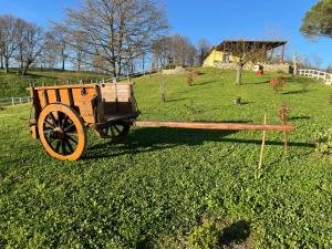 une charrette en bois assise dans un champ d'herbe dans l'établissement Villa Matilde, à Catabbio