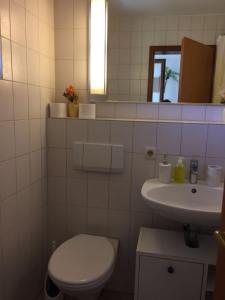 uma casa de banho com um WC, um lavatório e um espelho. em Ferienwohnung 3 in Huglfing im Herzen des 5 Seen Land Oberbayerns em Huglfing