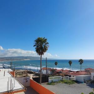 a view of a beach with a palm tree at Estacion 42 in Puerto Nuevo