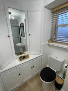 a bathroom with a toilet and a sink and a mirror at Daisy Cottagee in Alyth