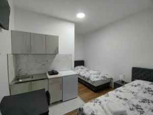 Pokój z 2 łóżkami i kuchnią ze zlewem w obiekcie Apartmani Ćosić - Kuršumlijska banja w mieście Kursumlijska Banja