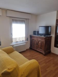 sala de estar con TV y sofá en La Casa di Nicola - monolocale in centro a Pieve di Cadore, en Pieve di Cadore