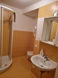Ванная комната в La Casa di Nicola - monolocale in centro a Pieve di Cadore