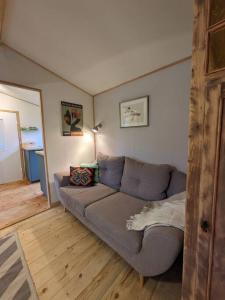 een woonkamer met een grijze bank in een kamer bij The Walnut Cottage in Neustadt in Holstein
