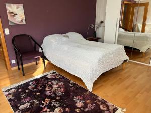 埃申茨的住宿－Bonis 2,5 Zimmer Ferienwohnung，一间卧室配有一张床、一把椅子和地毯