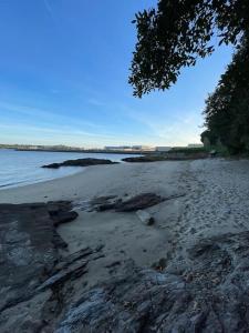 a beach with rocks and water and a tree at Punta Salera house & beach in A Pobra do Caramiñal +11 photos
