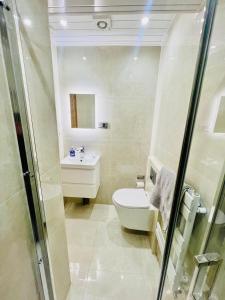 a bathroom with a toilet and a sink at 2 Bedroom Flat or Appartment near Heathrow with Garden in Uxbridge