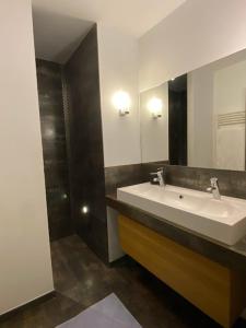 ein Bad mit einem Waschbecken und einem Spiegel in der Unterkunft Villa: Piscine, proche Centre & Mer in Saint-Jean-de-Luz
