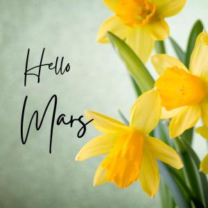 a bunch of yellow daffodils with the words hello mars at L'Orée des Champs 