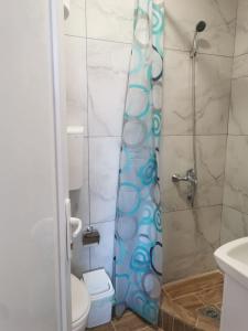 ein Bad mit einer Dusche und einem WC in der Unterkunft Apartman Aleksandar 1 in Ribarska Banja