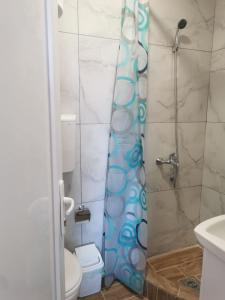 Koupelna v ubytování Apartman Aleksandar 1