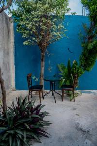 a patio with two chairs and a table and a tree at Casa Playa Hermosa in Cancún