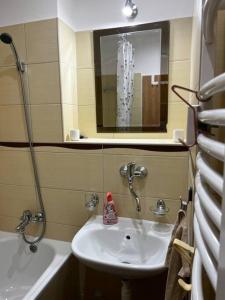 y baño con lavabo, ducha y espejo. en Rodinný apartmán neďaleko centra en Banská Bystrica