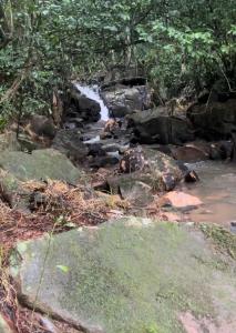 a stream of water with rocks and trees at Refúgio nascer das águas in Gravatal