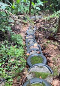 a row of stepping stones on a trail in the woods at Refúgio nascer das águas in Gravatal