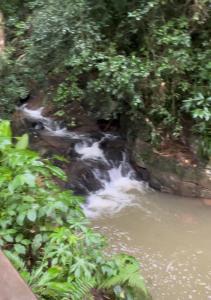 a river with white rapids in a forest at Refúgio nascer das águas in Gravatal