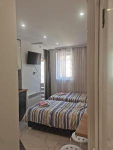 um quarto de hotel com uma cama e uma televisão em Apartman Aleksandar 2 em Ribarska Banja