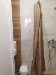 uma casa de banho com um WC e uma cortina de chuveiro em Apartman Aleksandar 2 em Ribarska Banja