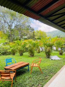 three chairs and a wooden bench in the grass at Hotel TIERRA NUEVA Campestre in La Vega