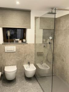 a bathroom with a toilet and a sink and a shower at Apartment Rose in Ahausen