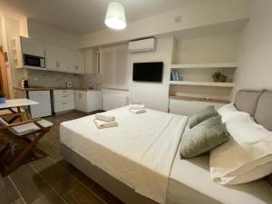 Il comprend une chambre avec un grand lit et une cuisine. dans l'établissement Cute studio near acropolis, à Athènes