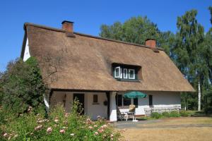 a thatch roofed house with a chair and a window at Landhuus Stender in Eutin