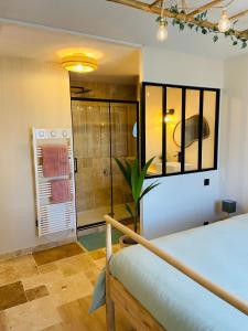 a bathroom with a shower and a bed in a room at appartement paradise tropical in Juvignac