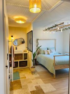 a bedroom with a bed and a mirror at appartement paradise tropical in Juvignac