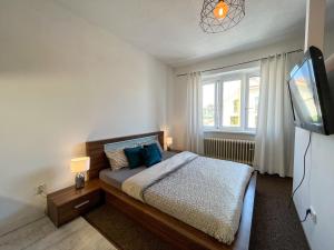 1 dormitorio con 1 cama con almohadas azules y TV en Vila Stela BOJNICE, en Bojnice