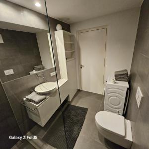 a bathroom with a toilet and a sink at Sonnenparadies in San Genesio Atesino +11 photos